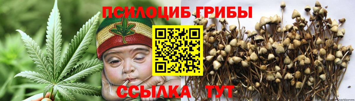 Королёв  Галлюциногенные грибы мухоморы  Вход с VPN  Псилоцибиновые грибы Psilocybe 